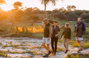 Guided walk