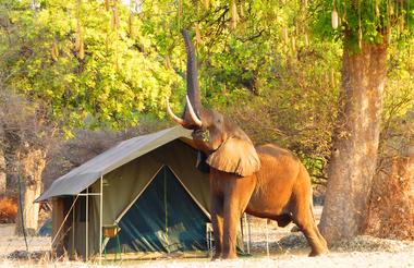Camp Mana
