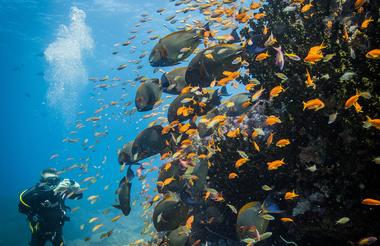 Azura Benguerra Island - Diving